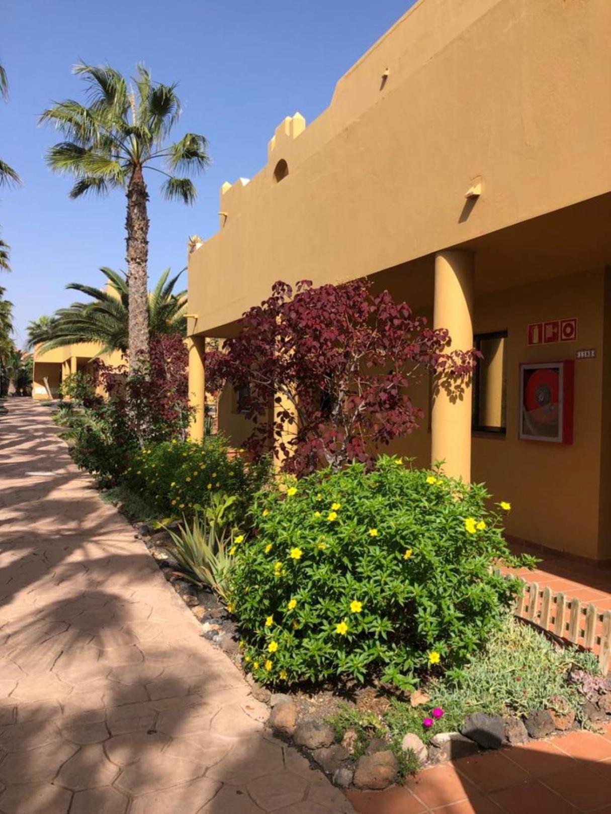 Casa Alice Appartement Corralejo Buitenkant foto